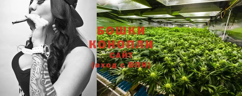 Конопля SATIVA & INDICA  МЕГА как войти  Пошехонье  что такое  